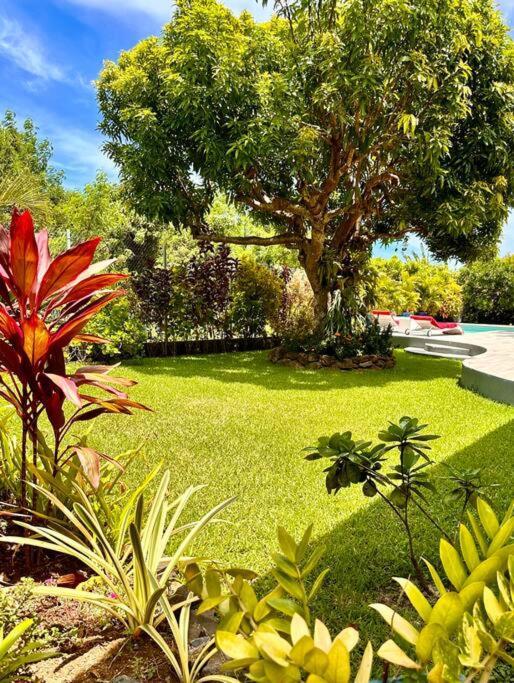 Villa Moana Reva Bora Bora Exterior photo